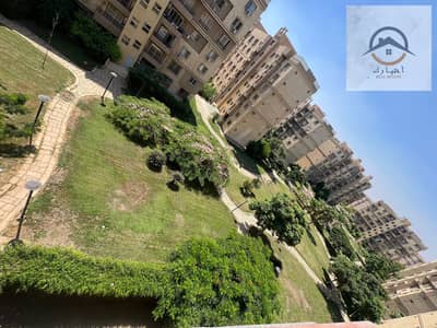 3 Bedroom Flat for Sale in Madinaty, Cairo - WhatsApp Image 2024-09-24 at 2.57. 19 PM. jpeg