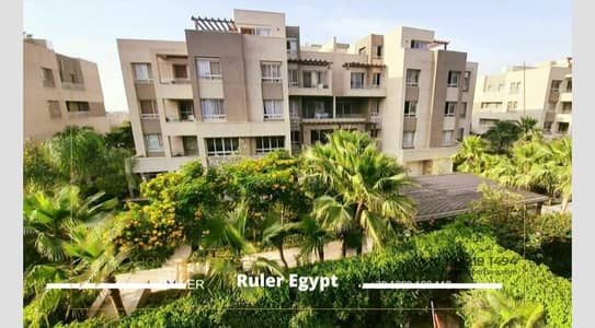 3 Bedroom Apartment for Rent in New Cairo, Cairo - WhatsApp Image 2024-09-30 at 3.32. 41 AM. jpeg