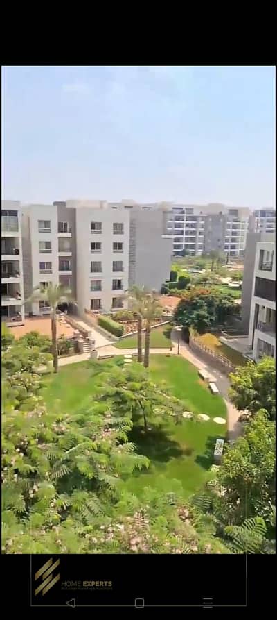 3 Bedroom Flat for Rent in New Cairo, Cairo - af343eaf-ad29-450b-be8c-85c545486dbd. jpg