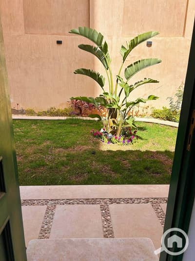 Studio for Rent in New Cairo, Cairo - fbeea5cb-203f-4e36-9a31-99672587a988. jpeg