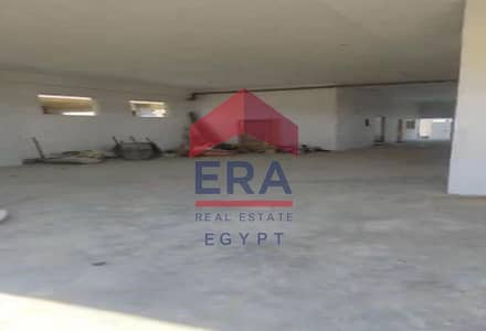 Warehouse for Rent in New Cairo, Cairo - 9d7e9297-3e94-11ef-b957-16868a63da9a. jpeg