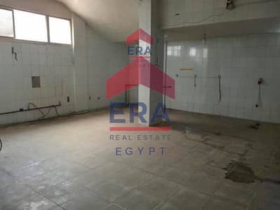 Factory for Rent in New Cairo, Cairo - 5ad5a456-97b8-4040-8dfc-894f8eeaa81a. png