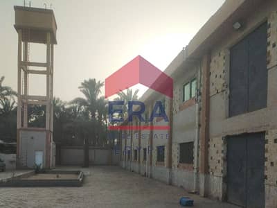 Factory for Sale in Haram, Giza - IMG-20240909-WA0005. jpg