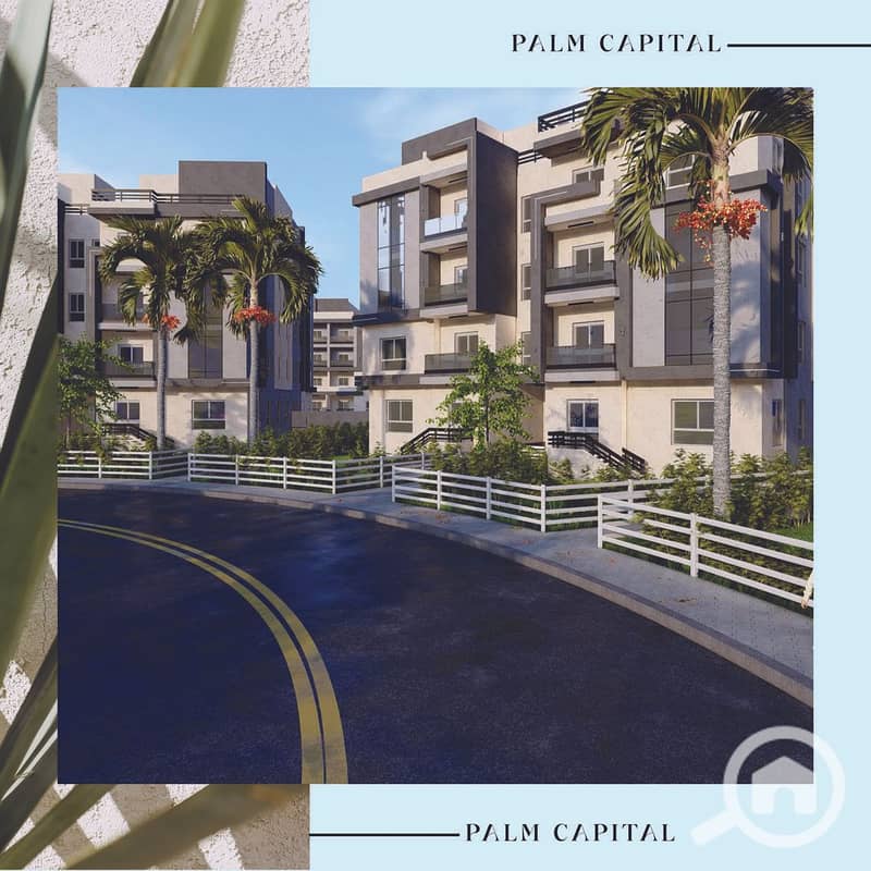 13 PALM CAPITAL CATALOGUE WITH HOTLINE V2_Page_19. jpg