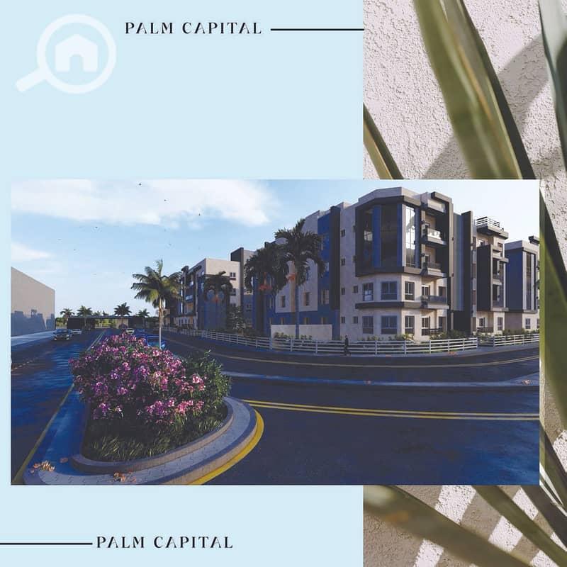 16 PALM CAPITAL CATALOGUE WITH HOTLINE V2_Page_24. jpg