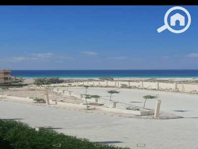 2 Bedroom Chalet for Sale in North Coast, Matruh - WhatsApp Image 2024-01-23 at 21.53. 08_50260411. jpg