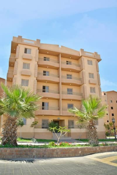 3 Bedroom Apartment for Sale in New Cairo, Cairo - 10178014_825625444133346_8959674188988117674_n. jpg