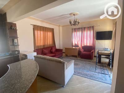 1 Bedroom Room for Rent in New Cairo, Cairo - 1. jpg