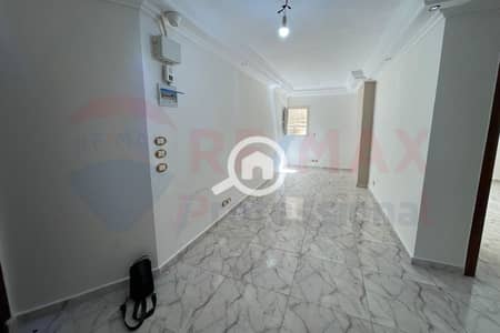 Office for Rent in Sporting, Alexandria - IMG-20240801-WA0079. jpg