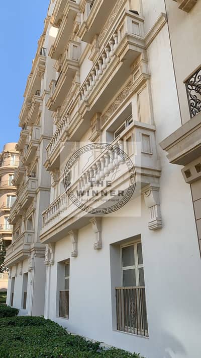 1 Bedroom Apartment for Rent in New Cairo, Cairo - WhatsApp Image 2024-11-12 at 6.45. 38 PM. jpeg