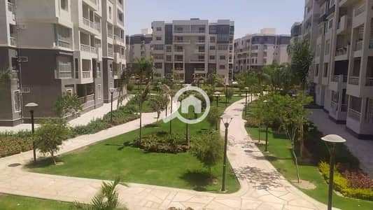 3 Bedroom Apartment for Sale in Madinaty, Cairo - WhatsApp Image 2024-09-17 at 1.08. 19 PM. jpeg