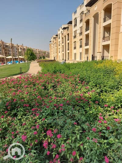 3 Bedroom Flat for Sale in New Cairo, Cairo - 0d9d7a5cd-acea-4cc6-aa20-bd9b31d471d1. jpg