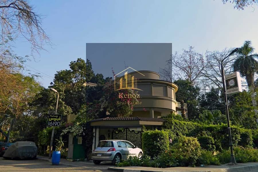 10 Villa-maadi. jpg