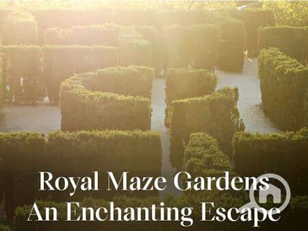 7 Royal-Hedge-Maze-Gardens-An-Enchanting-Escape-450x337. jpg