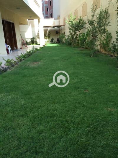 10 Bedroom Villa for Sale in New Cairo, Cairo - WhatsApp Image 2024-12-02 at 7.10. 46 PM. jpeg