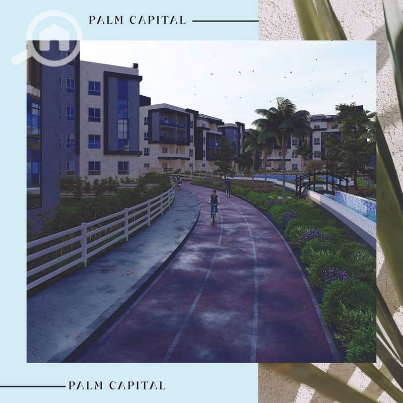 10 PALM CAPITAL CATALOGUE WITH HOTLINE V2_Page_20. jpg