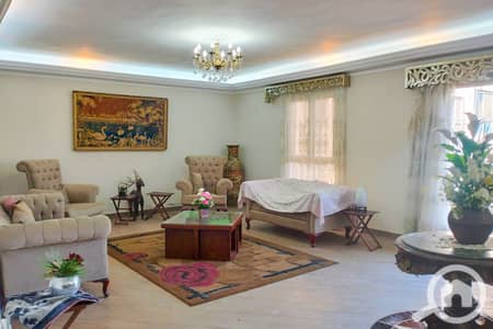 5 Bedroom Flat for Sale in Sporting, Alexandria - WhatsApp Image 2024-11-30 at 6.31. 02 PM (1). jpg