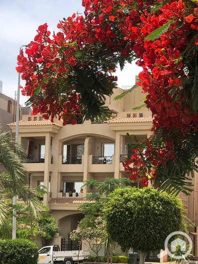 4 Bedroom Flat for Sale in New Cairo, Cairo - IMG-20241211-WA0042. jpg