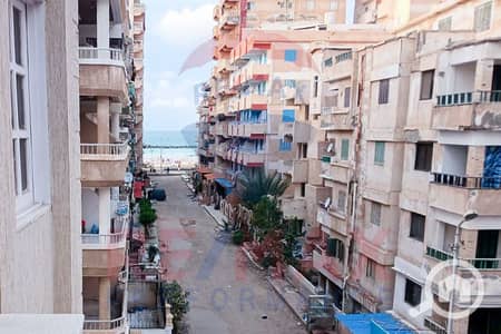 2 Bedroom Apartment for Sale in Nakheel, Alexandria - WhatsApp Image 2024-12-12 at 4.38. 44 PM (2). JPG