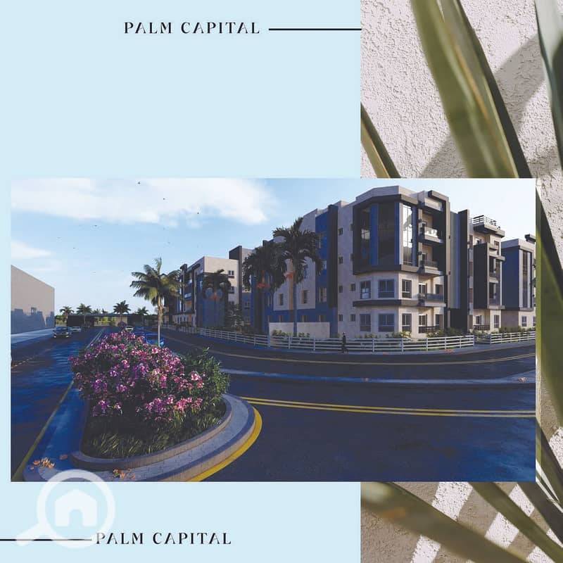 12 PALM CAPITAL CATALOGUE WITH HOTLINE V2_Page_24. jpg