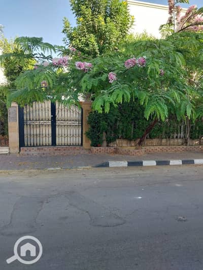 4 Bedroom Villa for Rent in New Cairo, Cairo - WhatsApp Image 2024-12-19 at 6.40. 43 AM (1). jpeg