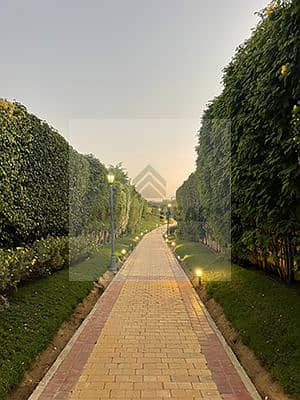 6 sherouk-city-cairo-green-corridor. jpg