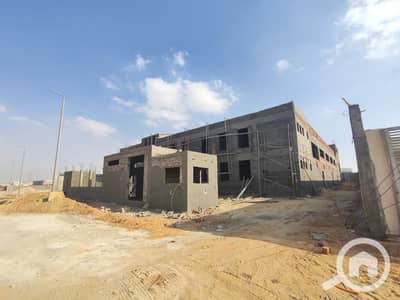 Factory for Rent in 10th of Ramadan, Sharqia - 1. jpeg