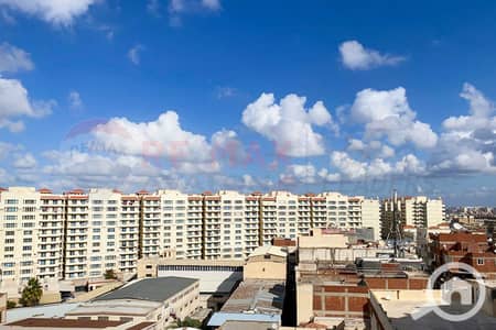 3 Bedroom Flat for Sale in Smoha, Alexandria - 1. JPG