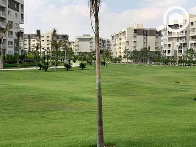 3 Bedroom Flat for Sale in Madinaty, Cairo - WhatsApp Image 2024-09-12 at 12.36. 52 PM. jpeg