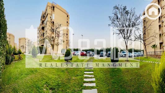 3 Bedroom Flat for Sale in Madinaty, Cairo - WhatsApp Image 2025-01-13 at 4.24. 16 PM_1. jpg