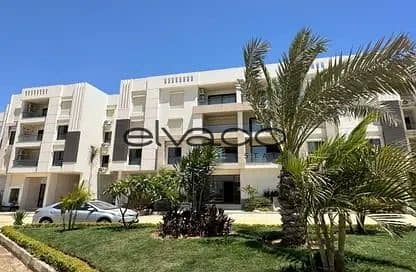 2 Bedroom Apartment for Sale in Sheraton, Cairo - WhatsApp Image 2025-01-08 at 05.52. 59_ed0a9e87. jpg