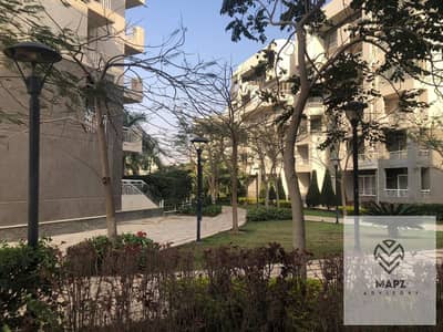 3 Bedroom Flat for Sale in Madinaty, Cairo - WhatsApp Image 2025-01-19 at 18.29. 35. jpeg