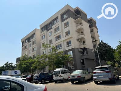 3 Bedroom Flat for Sale in Madinaty, Cairo - WhatsApp Image 2024-12-09 at 10.47. 21 AM. jpeg