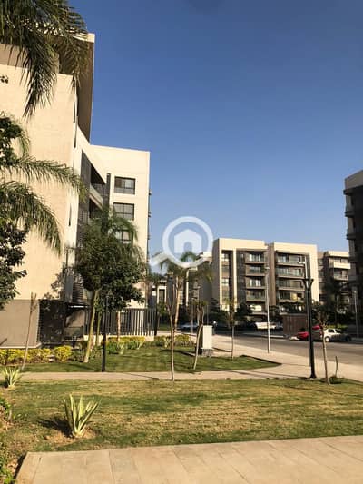 3 Bedroom Flat for Sale in Madinaty, Cairo - WhatsApp Image 2024-12-15 at 3.28. 00 PM (1). jpeg