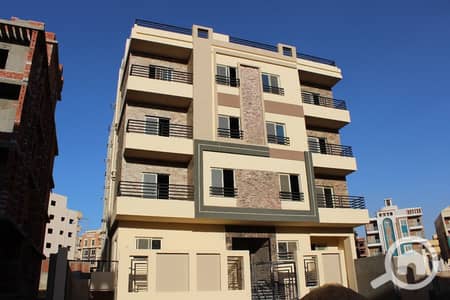 3 Bedroom Flat for Sale in Nasr City, Cairo - WhatsApp Image 2025-01-26 at 12.43. 46 PM (2). jpeg