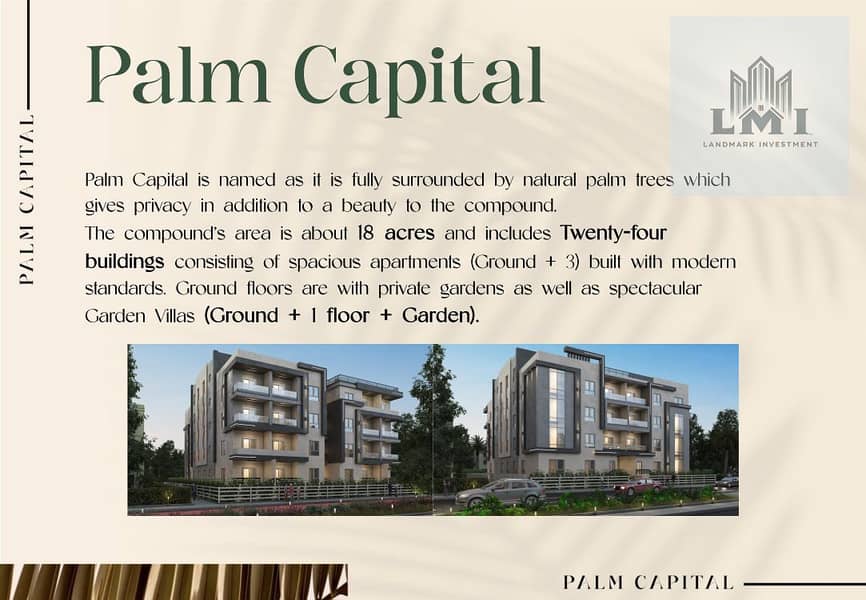 3 Sales Palm Capital w' Paydssssment Plan (1) (1). png