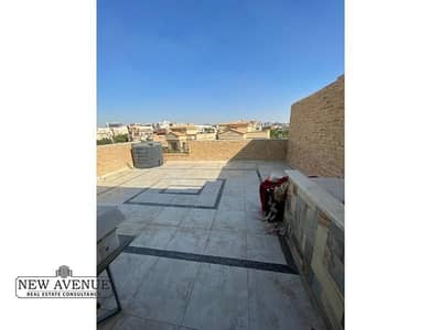 4 Bedroom Twin House for Sale in New Cairo, Cairo - 1d959528-f084-43fc-a3a9-d005dcc18ce2. jpg