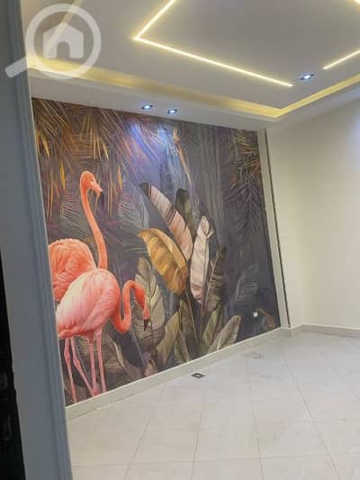 Où Jeter Les Cartons ? Et Les Boites à Pizzas Australia